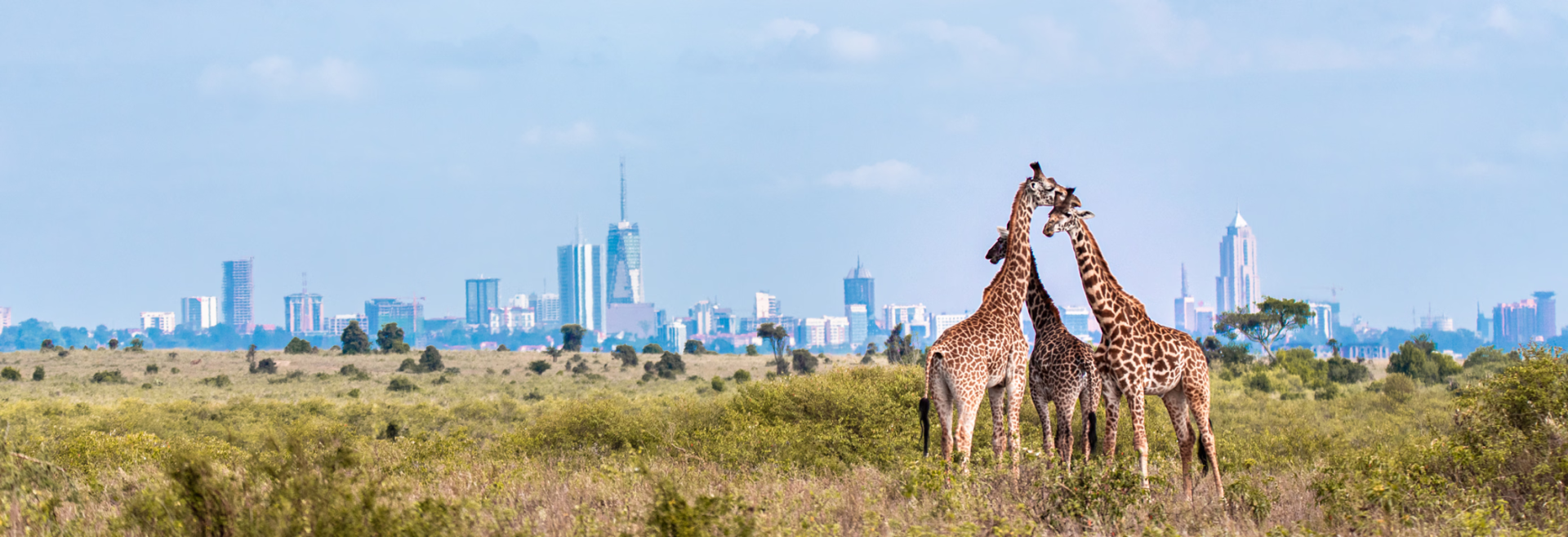 Immagine di sfondo della pagina flydubai rafforza la presenza in Kenya: nuovi voli per Nairobi e incremento su Mombasa