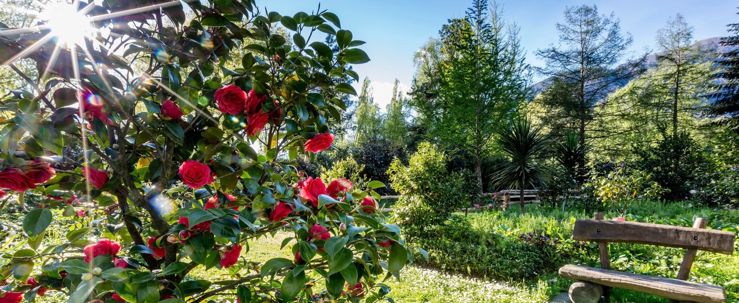 Immagine Primavera in Ticino: tradizioni pasquali e usanze autentiche
