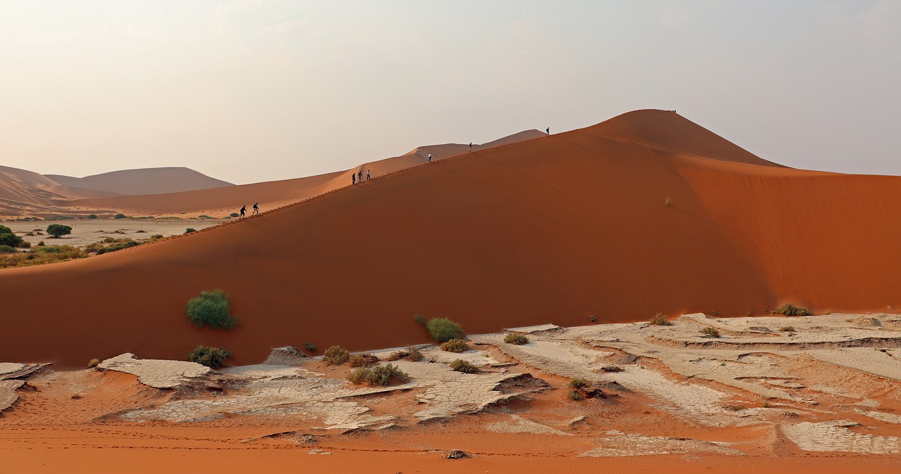Immaigne dell'articolo Il deserto del Namib: un mare di sabbia