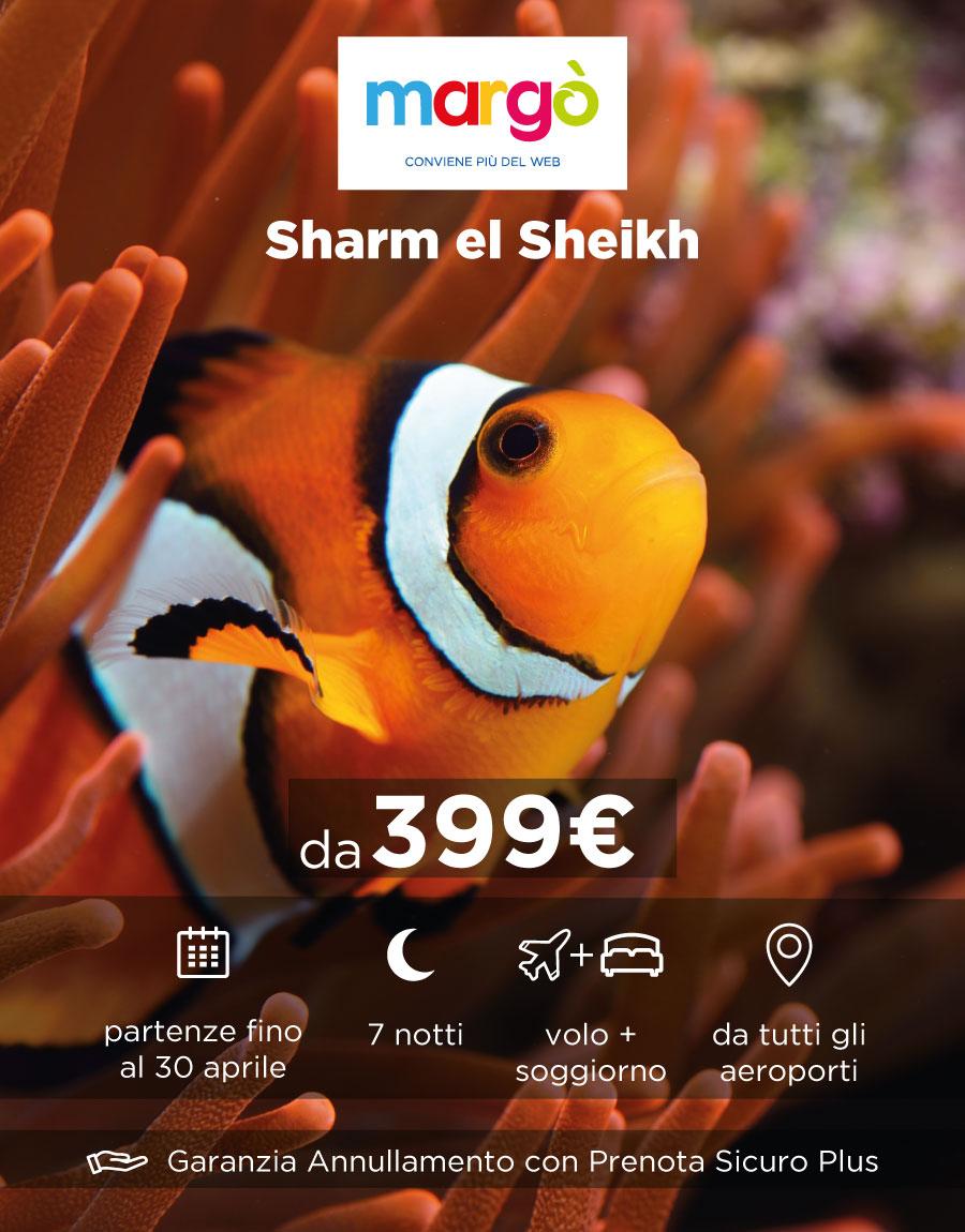 Immagine di sfondo della pagina Eden Viaggi, nuova promozione sul Mar Rosso