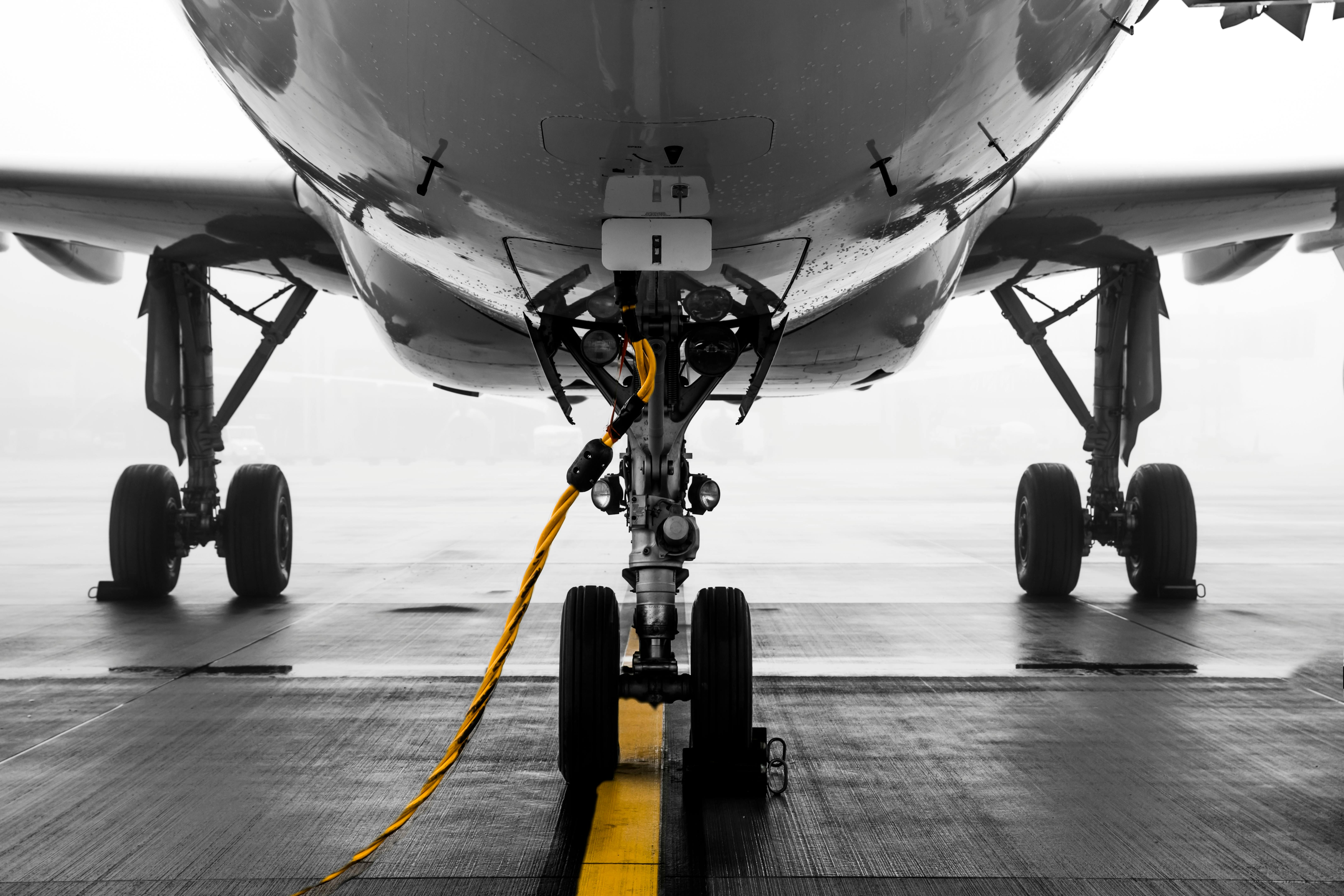 Immagine di sfondo della pagina Aeroporto di Bologna: primo trimestre 2025 in crescita, oltre 3,1 milioni di passeggeri nei primi quattro mesi