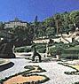 Immagine di sfondo della pagina Collodi-Pescia: il 31/3 si inaugura la Casa delle Farfalle nel giardino Garzoni. 