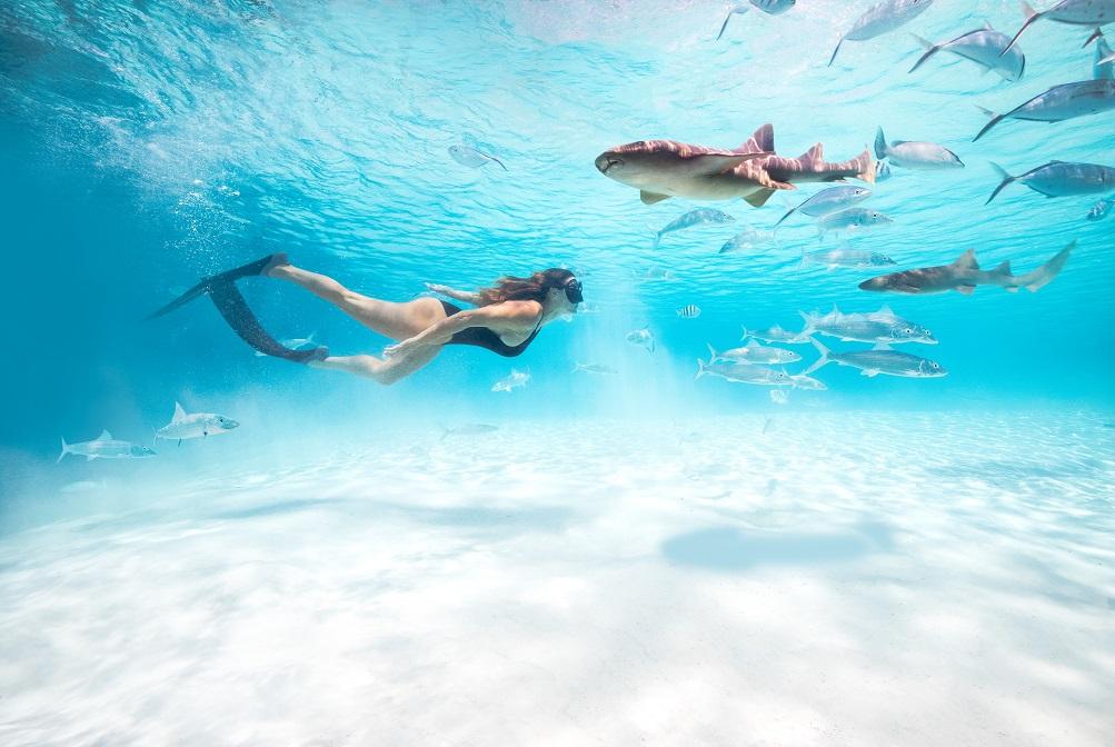 Immagine di sfondo della pagina Bahamas sbarca al TTG con numeri in crescita