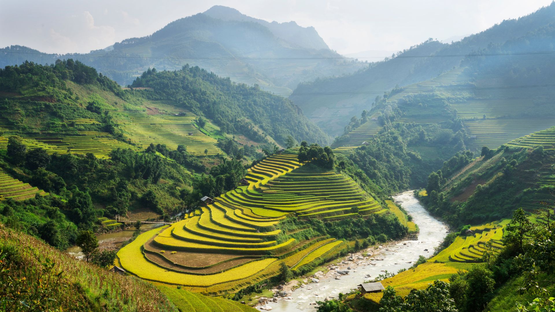 Immagine Dal Giappone al Vietnam: il boom delle vacanze studio di Trinity ViaggiStudio nelle mete “non convenzionali”
