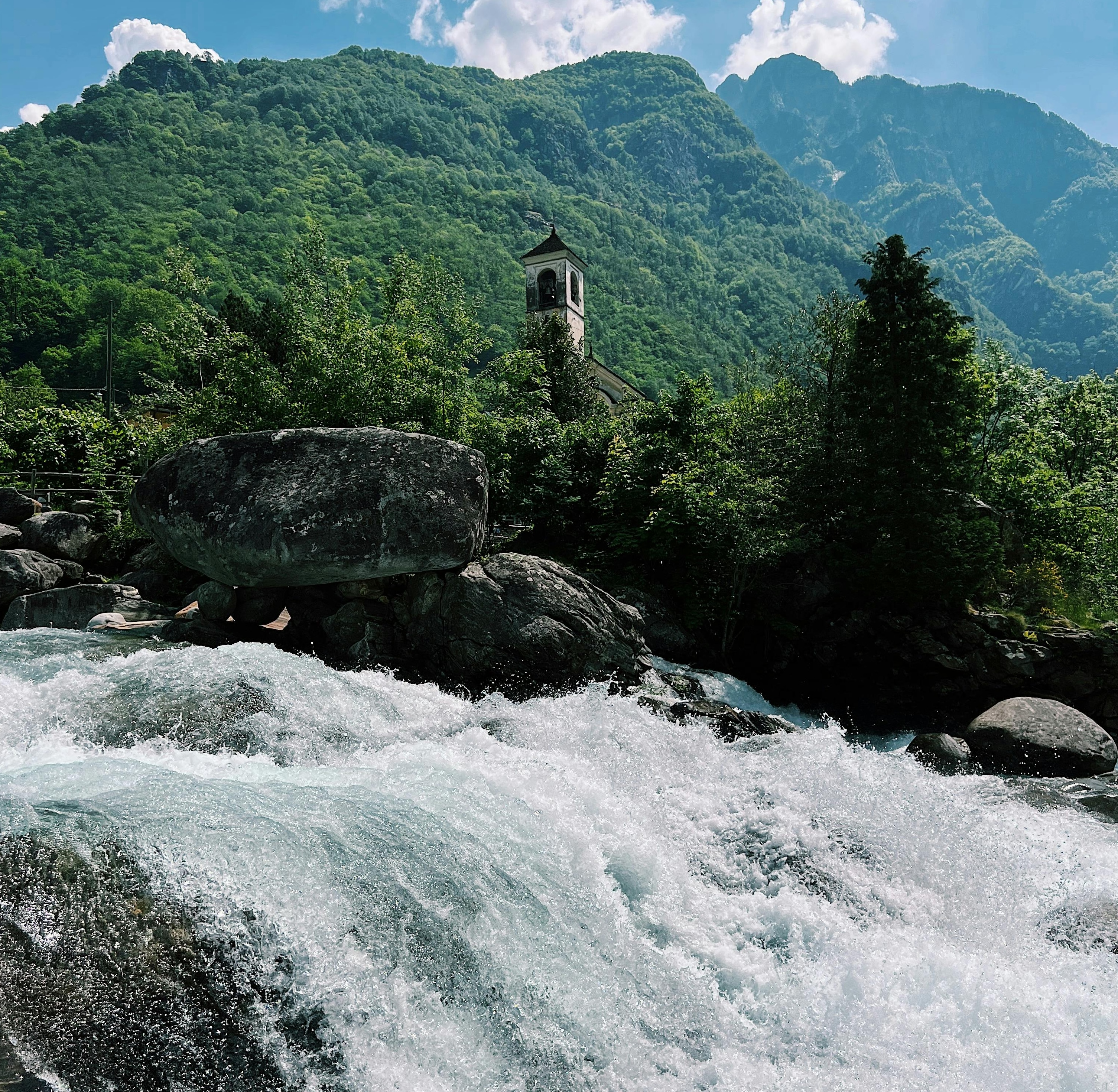 Immagine Alla scoperta dei boschi del Ticino: natura libera e panorami mozzafiato