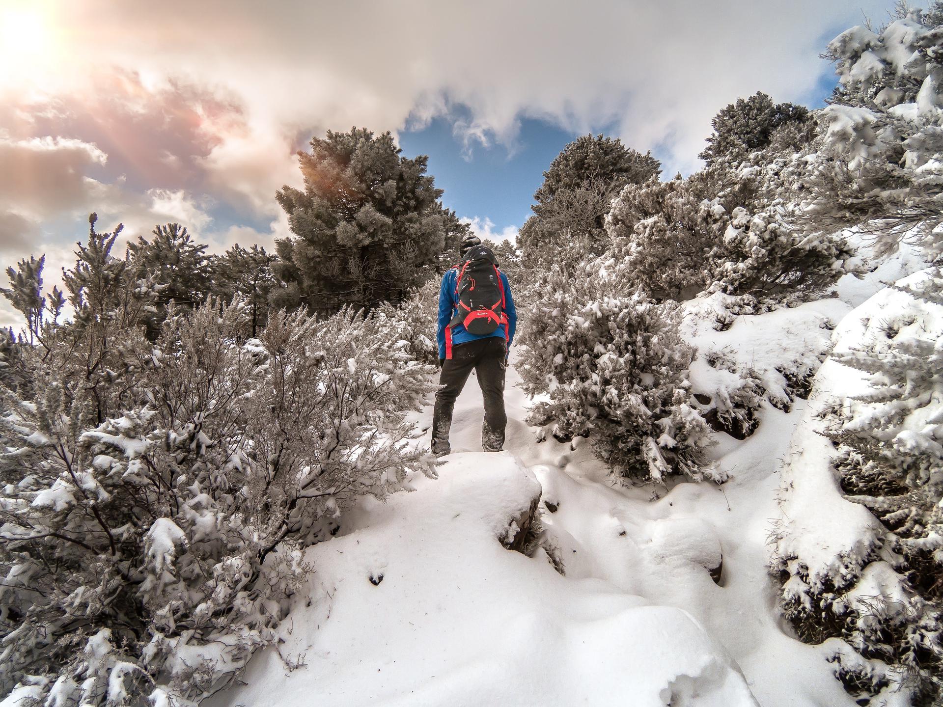 Immagine di sfondo della pagina Si accende il Natale all’Isola d’Elba
