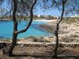 Immagine di sfondo della pagina L'estate di Lampedusa 