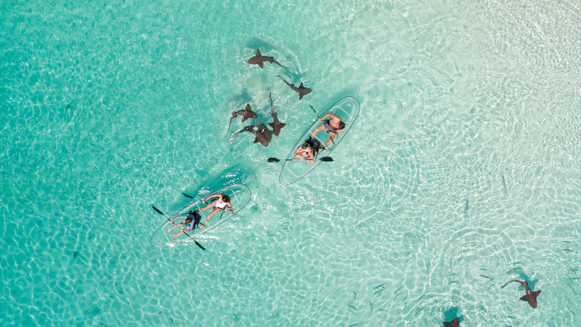 Immagine di sfondo della pagina Bahamas: crescita a doppia cifra per il mercato italiano
