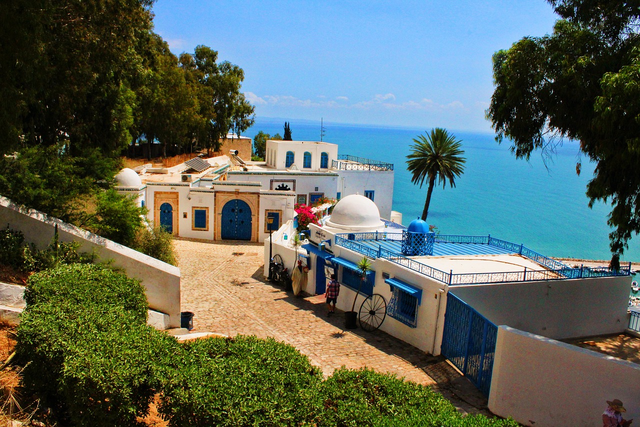 Immagine La Tunisia conferma la presenza in BIT
