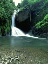 Immagine di sfondo della pagina Il Costarica debutta sull'e-learning