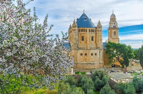 Immagine di sfondo della pagina Israele riapre al turismo dal 23 maggio