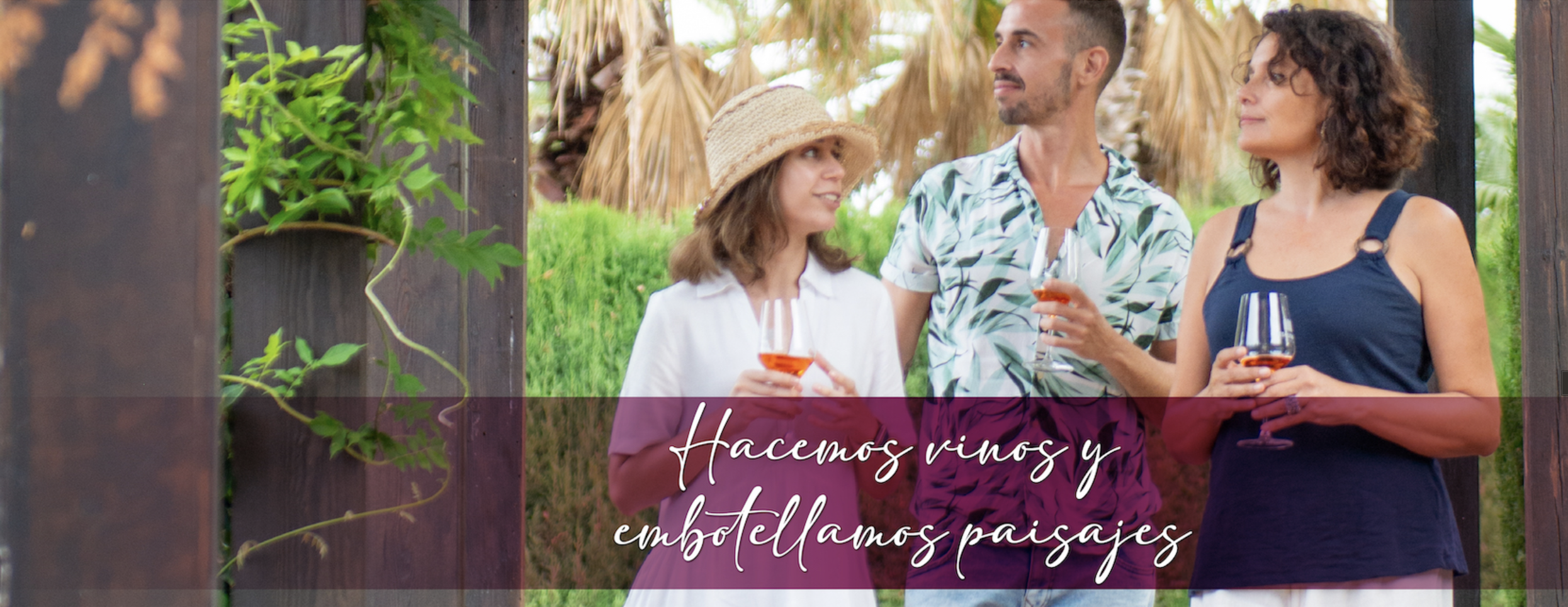 Immagine Gran Canaria punta sull’enoturismo: vino e territori rurali per diversificare l’offerta