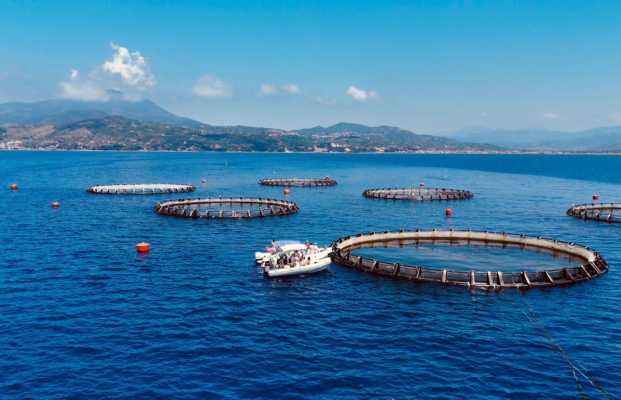 Immagine di sfondo della pagina Casal Velino – Saperi di mare: il borgo cilentano celebra la sua identità marinara