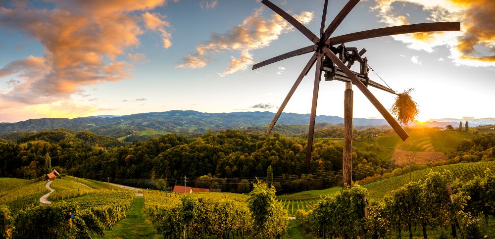 Immagine Štajerska: storie di viaggio tra vigneti, cantine e città del vino in Slovenia