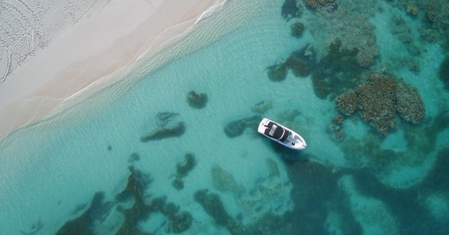 Immagine di sfondo della pagina Al via la seconda stagione di Nobu Barbuda