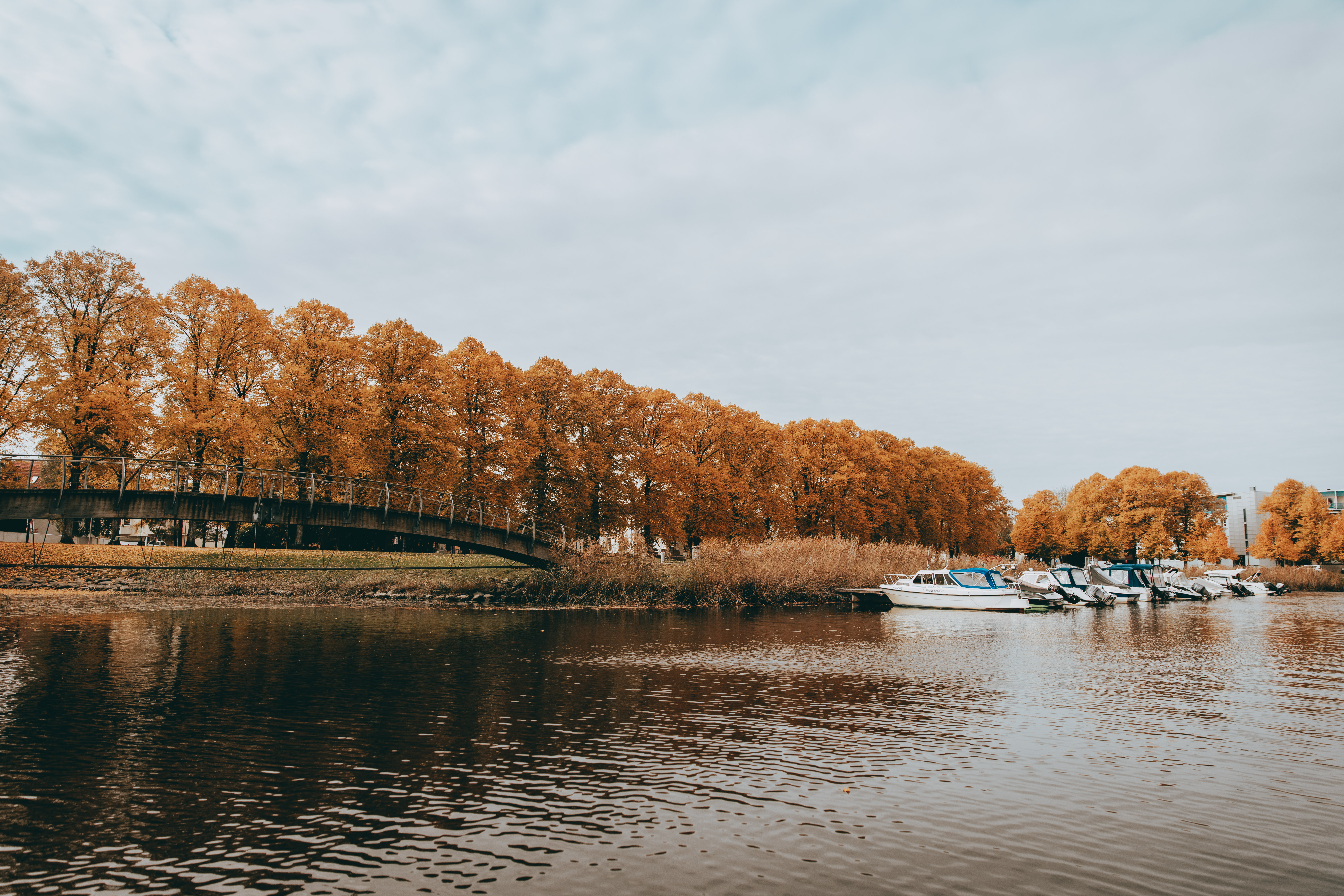 Immagine Autunno in Estonia: tra foreste dorate, tradizioni e sapori autentici