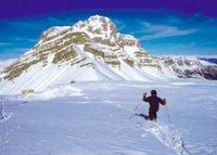 Immagine di sfondo della pagina Trademark, Osservatorio della montagna.  Bene le vacanze neve per le feste ma  atteso un calo  dopo l’Epifania tra il 6 e il 10%   