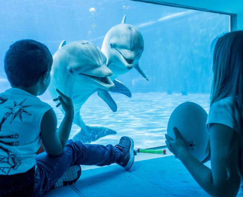 Immagine di sfondo della pagina Nuove esperienze all’Acquario di Genova: offerta ampliata e focus sull’edutainment