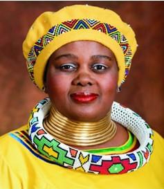 Immagine di sfondo della pagina Sudafrica, nuovo ministro del turismo