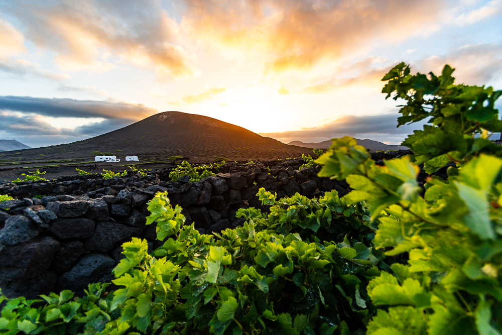 Immagine Lanzarote, il laboratorio verde del turismo sostenibile