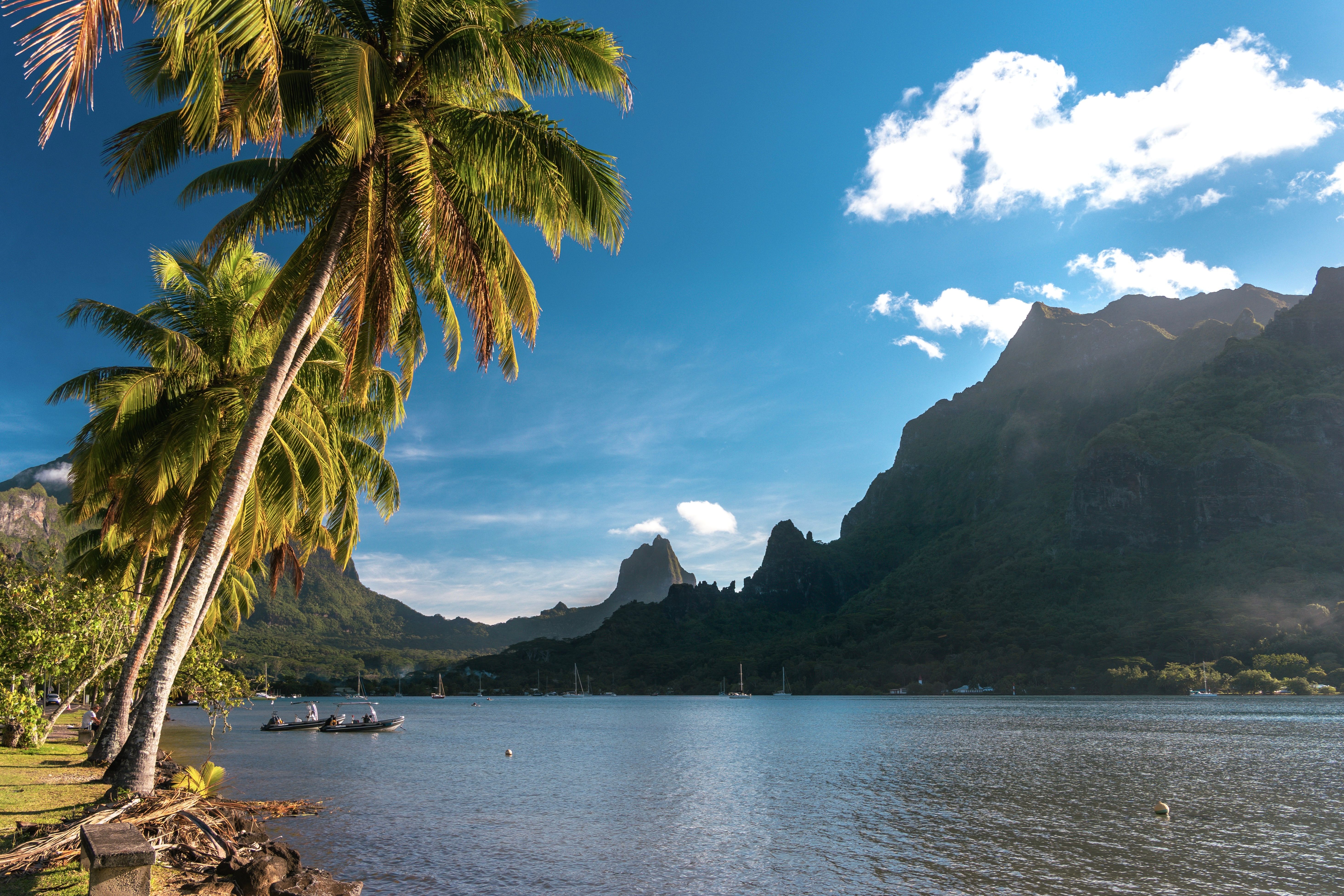 Immagine Tahiti Specialist Program, nuova piattaforma di formazione per le agenzie di viaggio