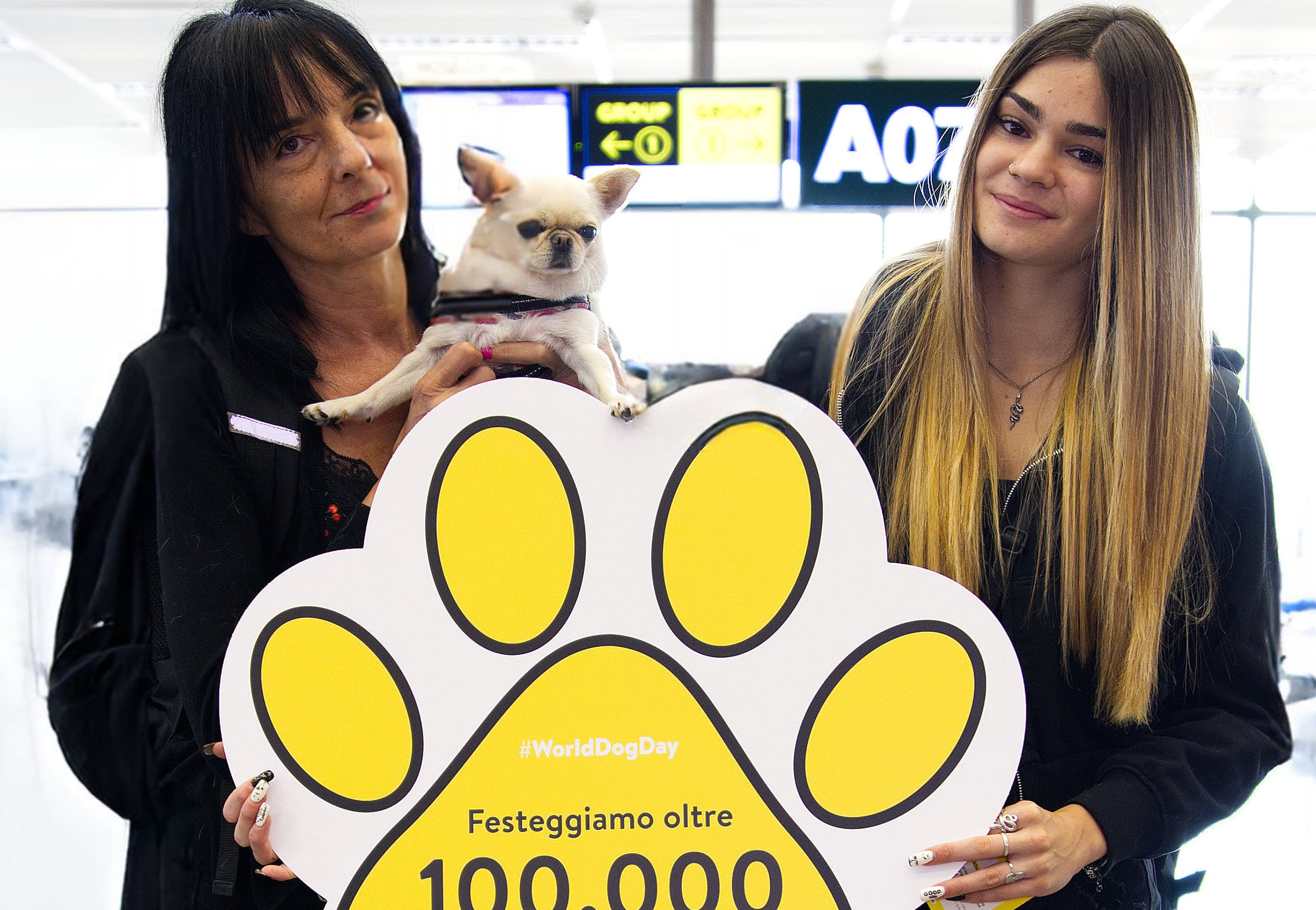 Immagine Vueling celebra la Giornata del Cane: oltre 100.000 animali volano ogni anno