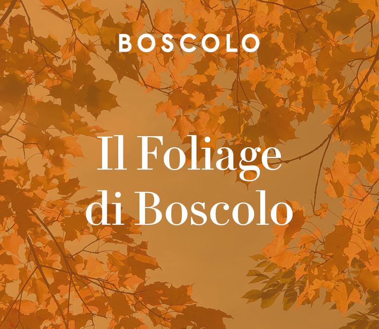 Immagine di sfondo della pagina Boscolo Tours: alle 14 ripartono i webinar