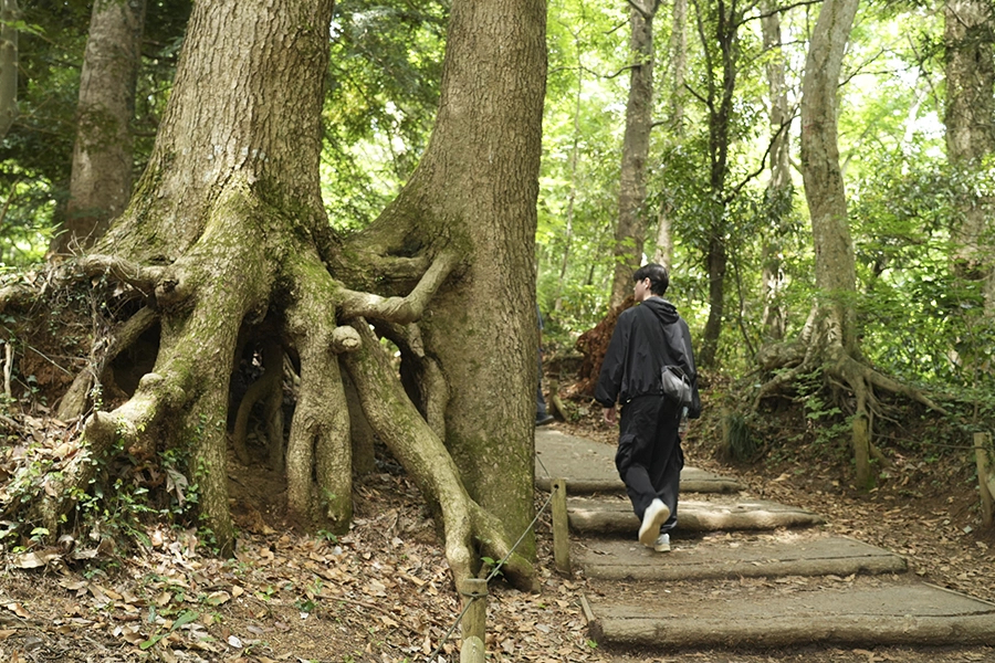 Immagine Tokyo tra nuove esperienze e luoghi da scoprire: sake, natura, cultura e intrattenimento