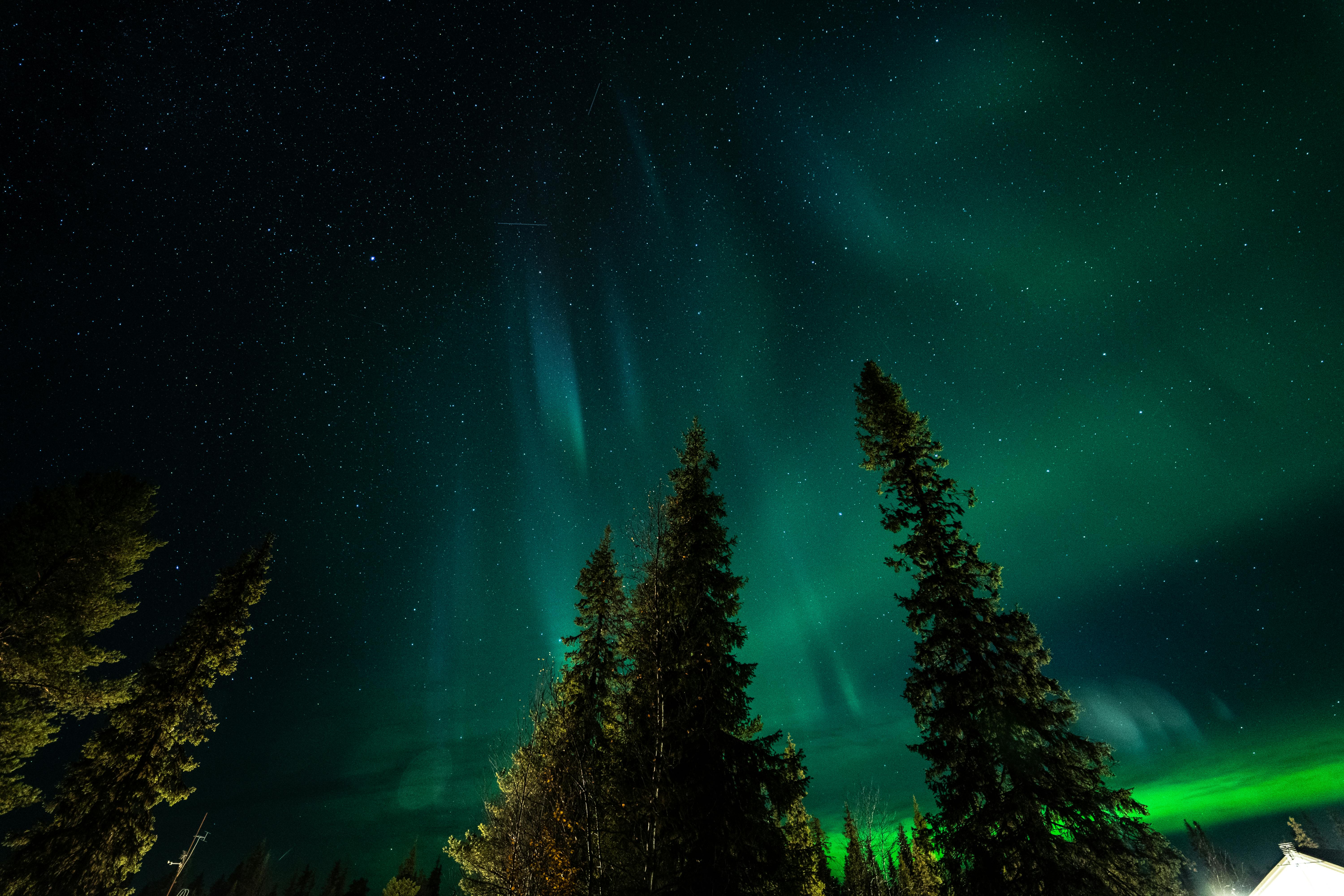 Immagine A caccia di aurora boreale: i viaggi più affascinanti tra Nord Europa e Canada secondo Omio