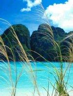 Immagine di sfondo della pagina In Viaggi, la Thailandia entra in programmazione 