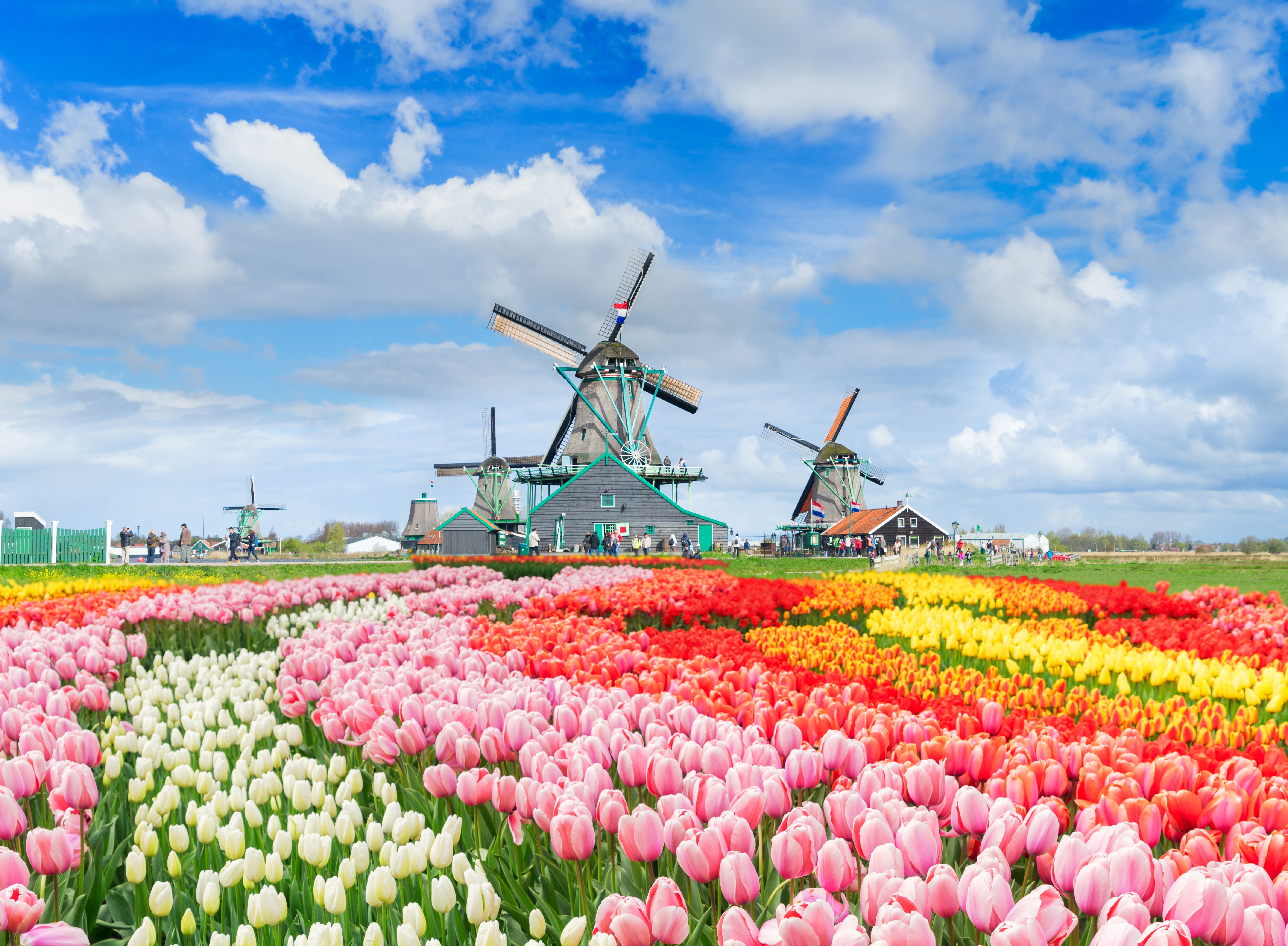 Immagine Amsterdam in primavera: cosa vedere e fare tra tulipani, musei e canali secondo Civitatis