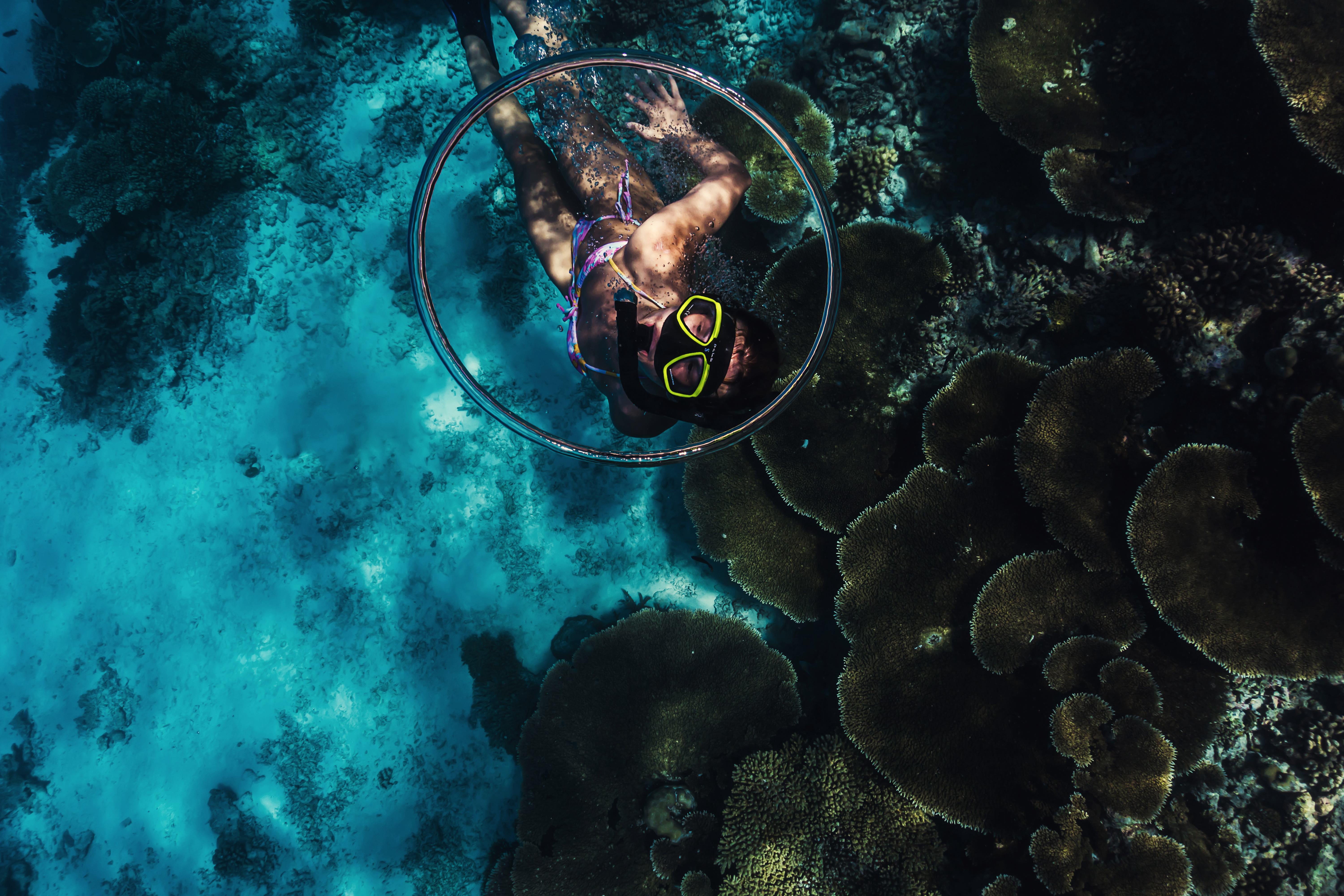 Immagine di sfondo della pagina Sun Siyam Resorts lancia Sundiving.com: il paradiso dei subacquei è online