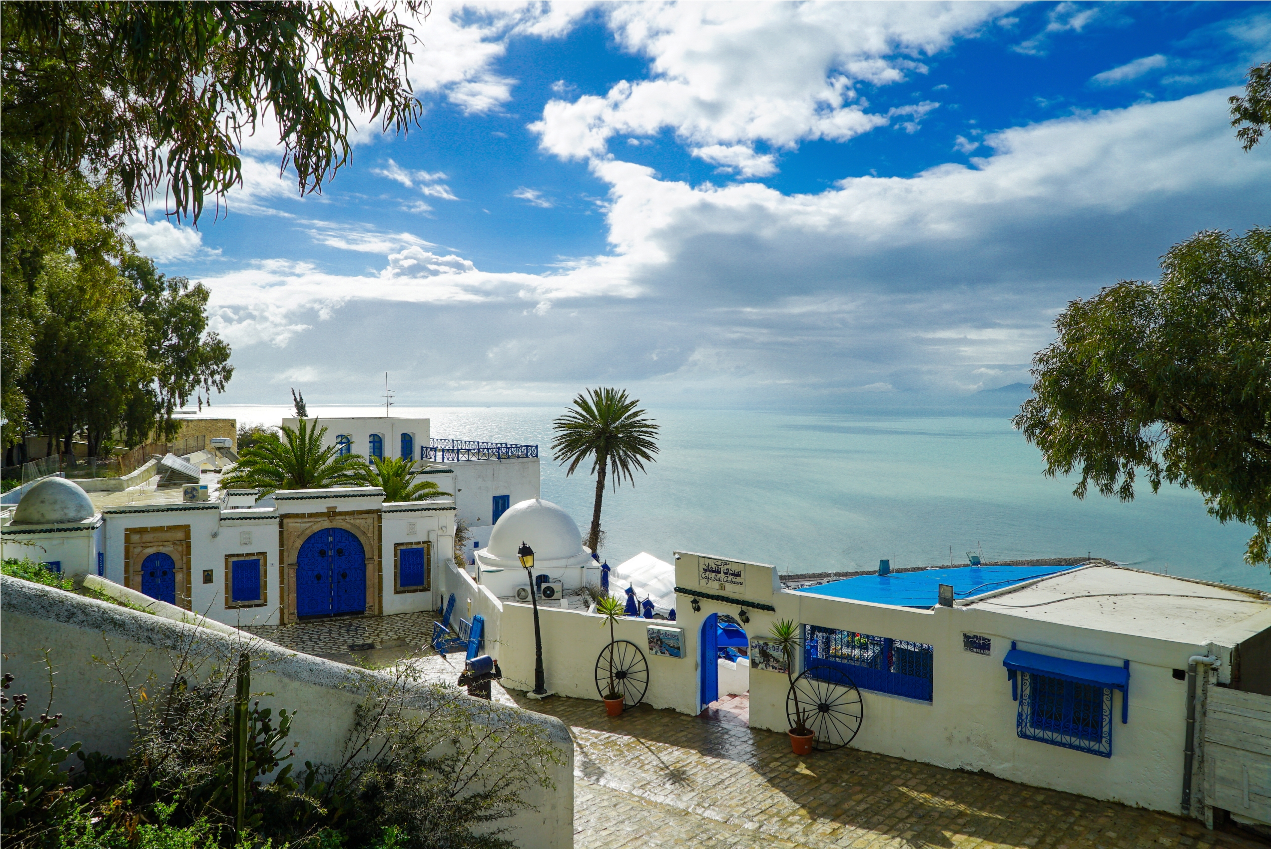 Immagine Sidi Bou Saïd entra nel Patrimonio Mondiale UNESCO: la Tunisia conquista il suo decimo sito
