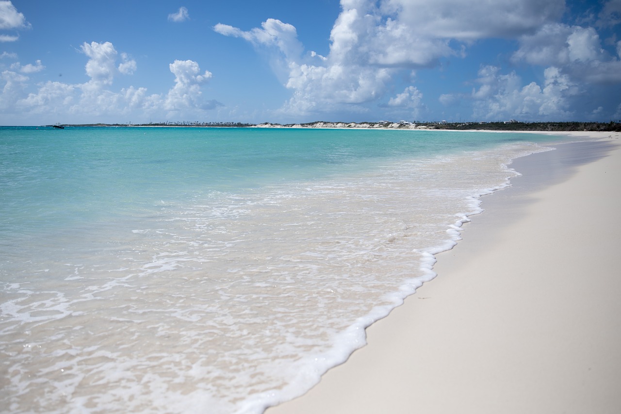 Immagine Anguilla conquista sempre più viaggiatori: boom di turisti nel 2024