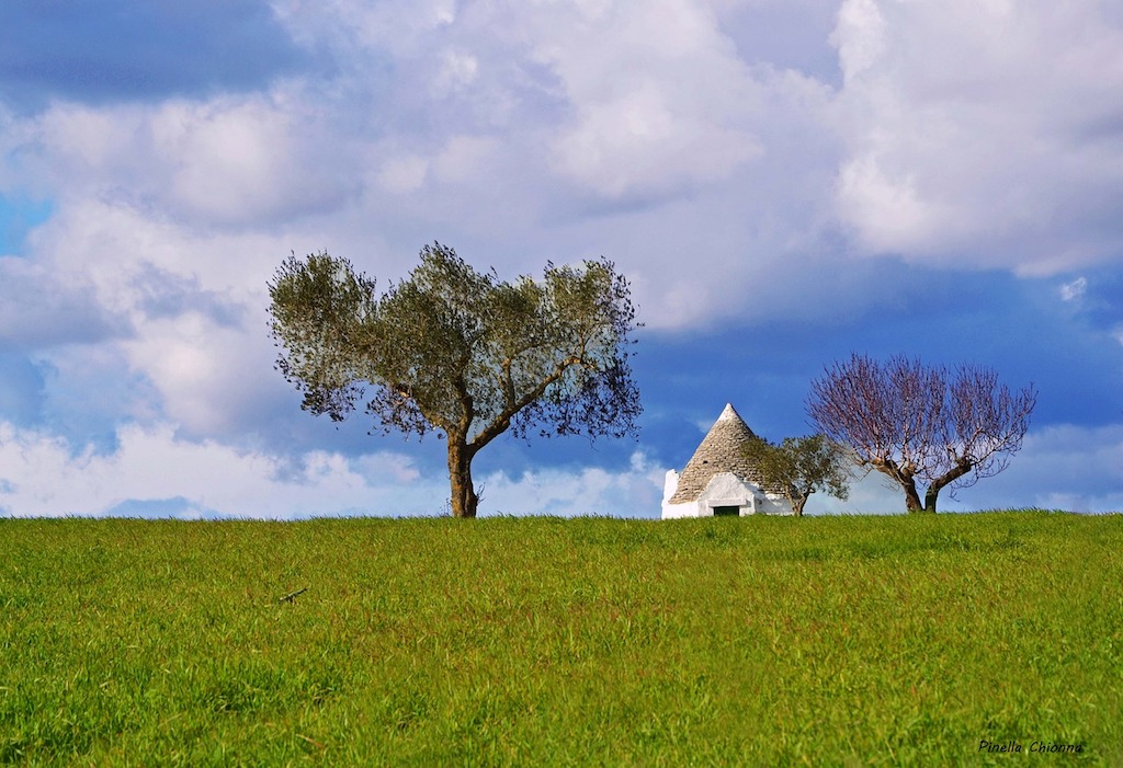 Immagine A Roma l’8 luglio il workshop “Puglia, a way of life”: la regione si racconta come modello di sviluppo sostenibile