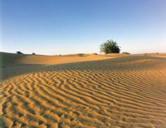 Immagine di sfondo della pagina Tunisia: a breve centro servizi turismo per turisti cinesi
