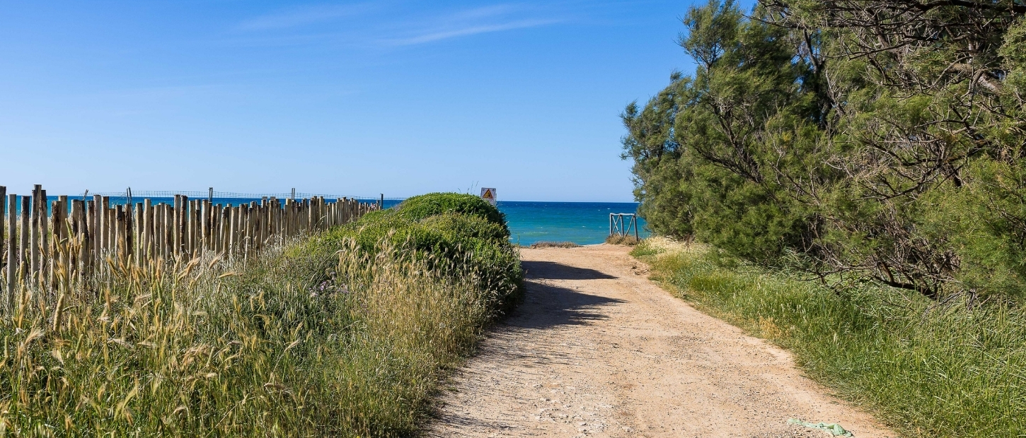 Immagine Cammini, nel Salento la via Francigena del sud diventa modello nazionale di accessibilità