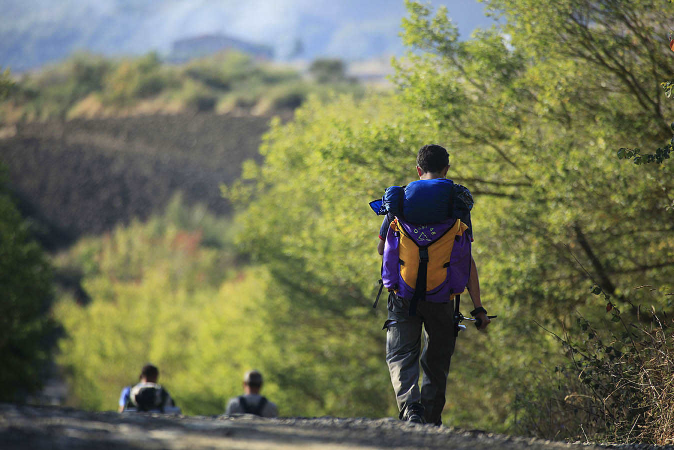 Immagine Fidenza celebra  la Via Francigena