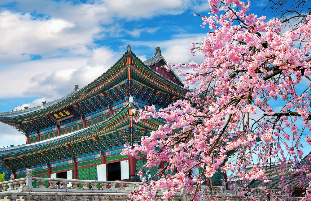 Immagine di sfondo della pagina Golden Tour Korea affida a Global GSA la rappresentanza per l’Italia
