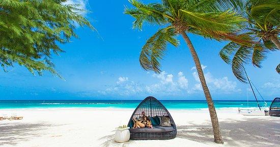 Immagine di sfondo della pagina Etnia punta su Barbados