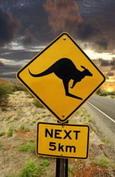 Immagine di sfondo della pagina Hertz, prenotazioni facili con Interplanet e viaggi in libertà in Australia    