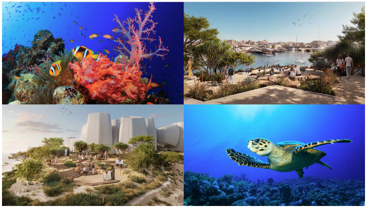 Immagine AMAALA, la nuova destinazione Red Sea Global che rivoluziona il turismo di lusso