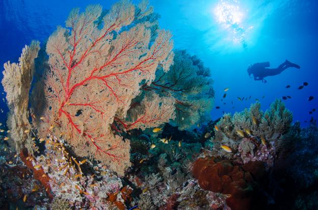 Immagine di sfondo della pagina World Travel Awards 2020, successo per le Filippine
