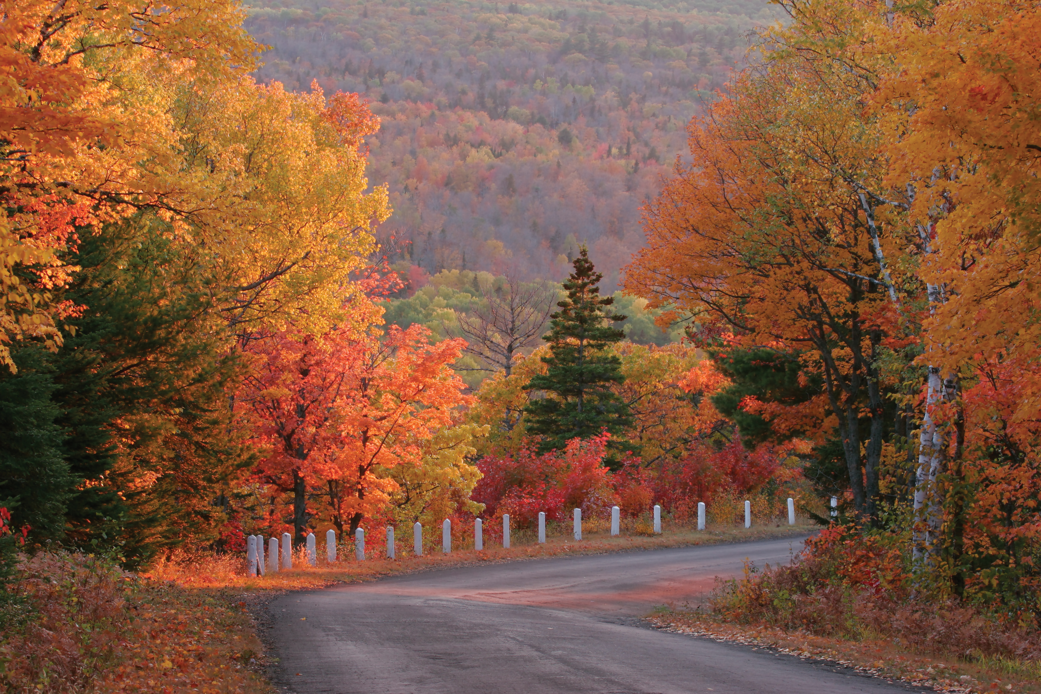 Immagine di sfondo della pagina Visit The USA e le sette meraviglie d’autunno negli Stati Uniti
