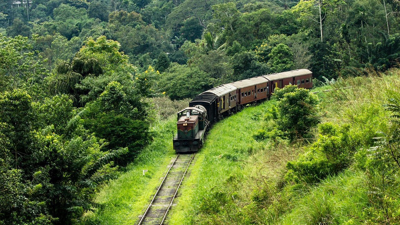 Immagine di sfondo della pagina Lo Sri Lanka amplia l’esenzione dal visto per 40 nuovi Paesi. Nella lista, presente anche l'Italia