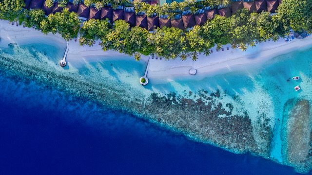 Maldive_Lily-Beach_IPV