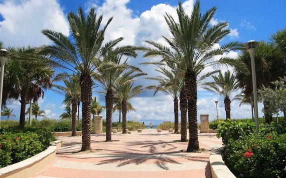 Immagine di sfondo della pagina Miami-Dade: turismo da record nel 2024 con oltre 28 milioni di visitatori  Occhiello: