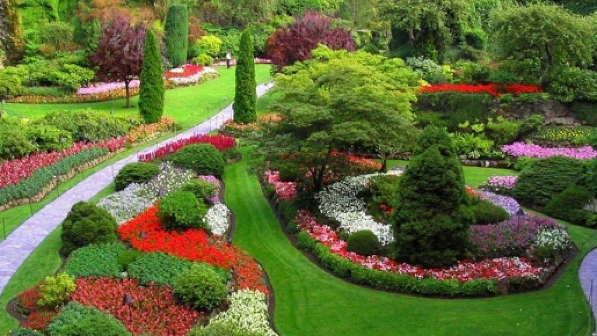 Immagine di sfondo della pagina Gita primaverile tra arte e natura: il fascino dei Giardini di Ninfa e il comfort dell’FH55 Grand Hotel Palatino