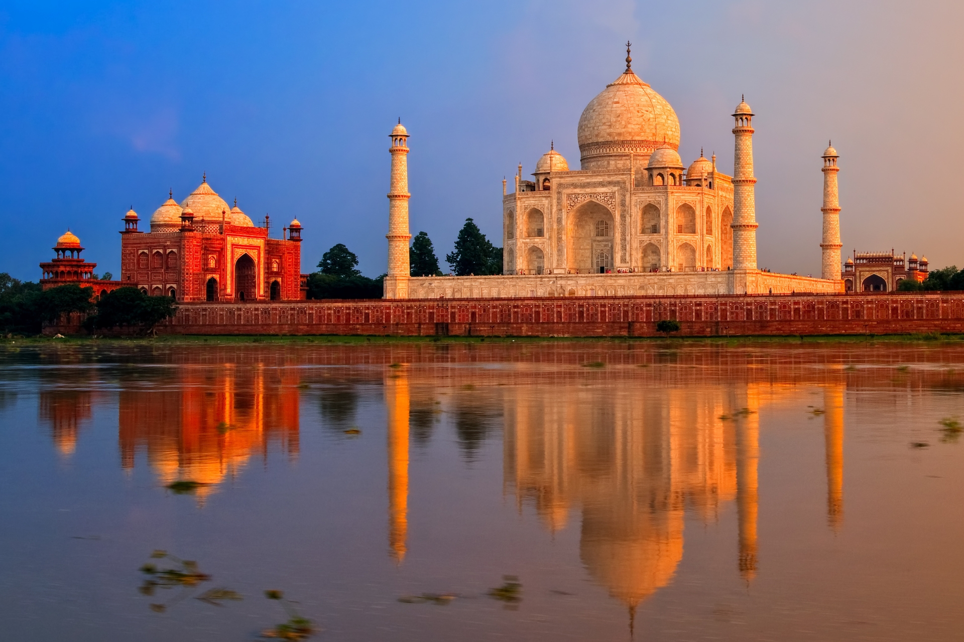 Immagine India