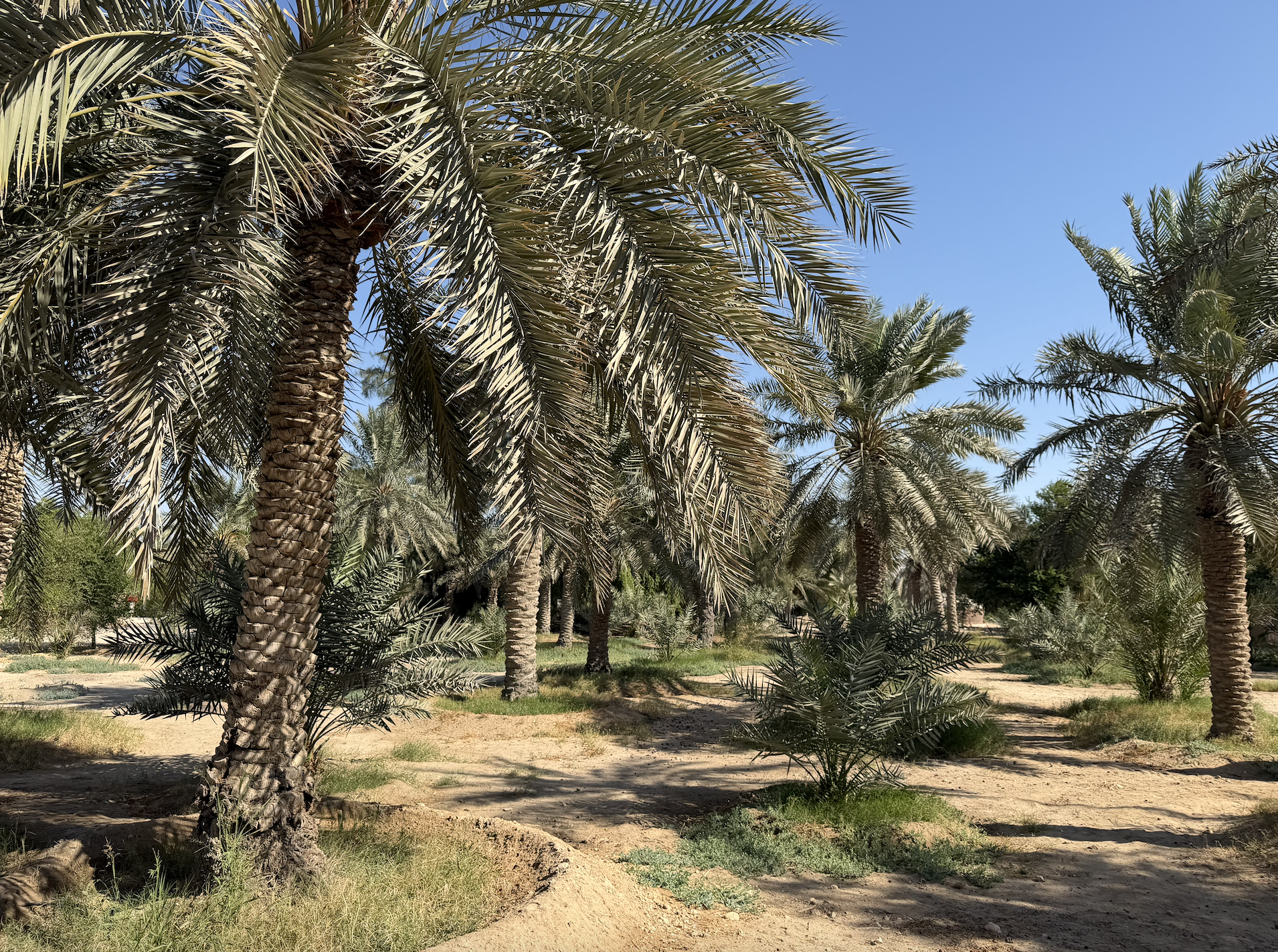 Screenshot 2025-12-03 alle 15.03.03